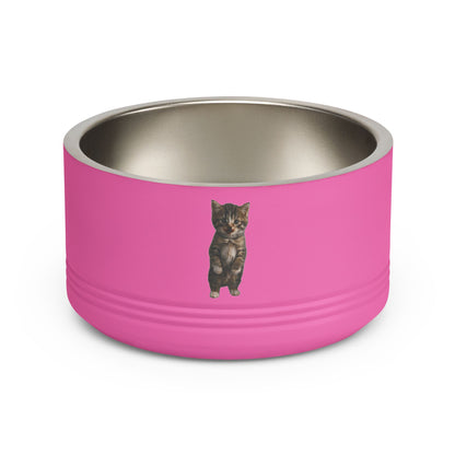 Cute Standing Kitten Stainless Steel Pet Bowl  18oz
