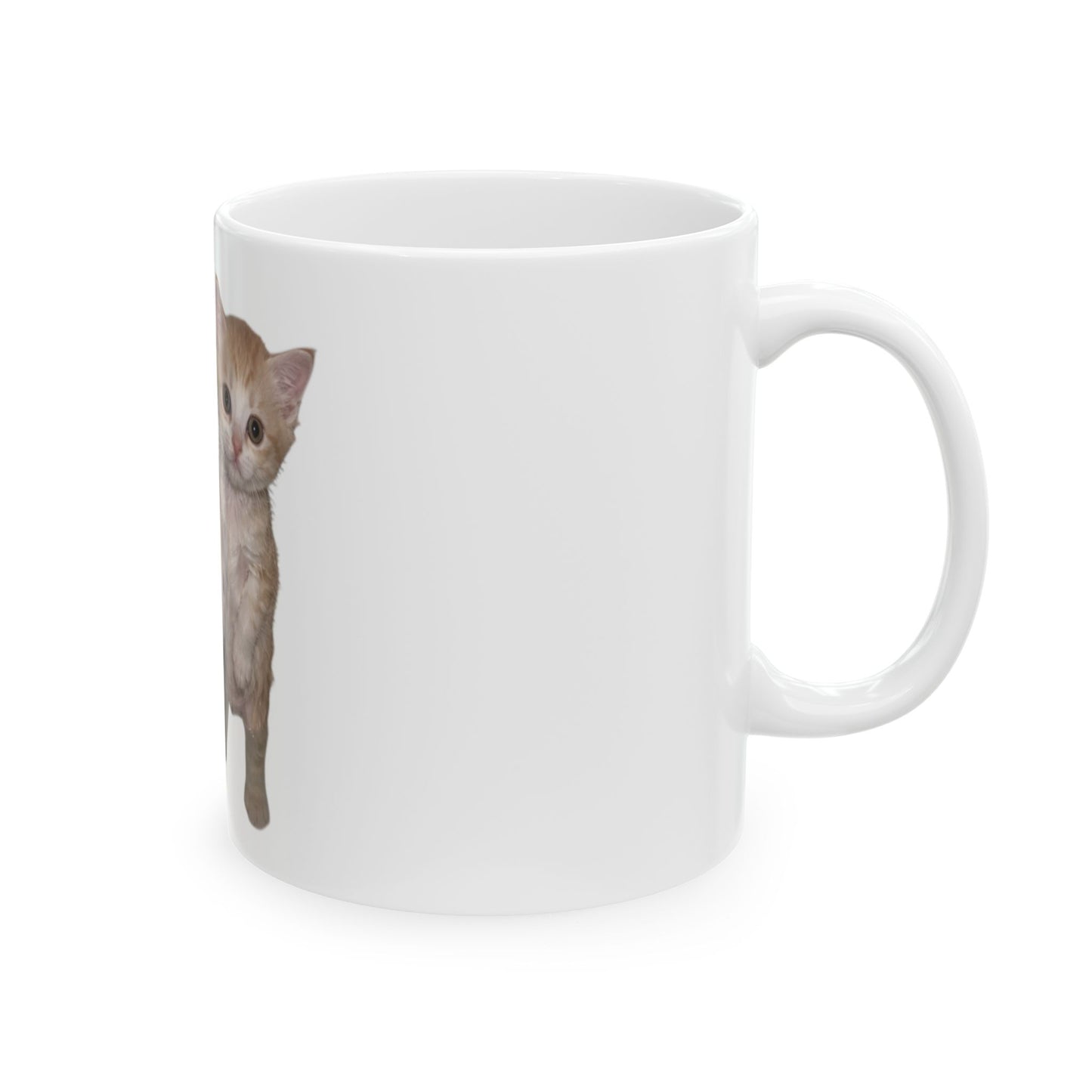Cute Standing Kittens Ceramic Mug  (11oz or 15oz)