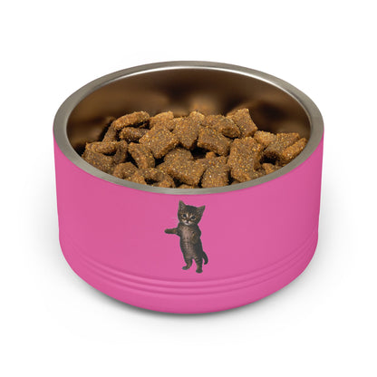 Cute Standing Kitten  Stainless Steel  Pet Bowl  18oz