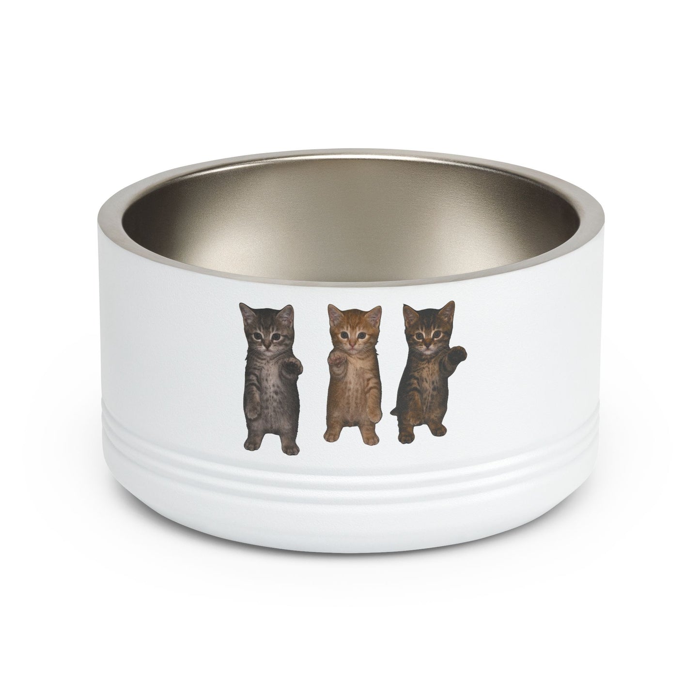 Cute Standing Trio Kittens Dancing Stainless Steel Pet Bowl  18 oz