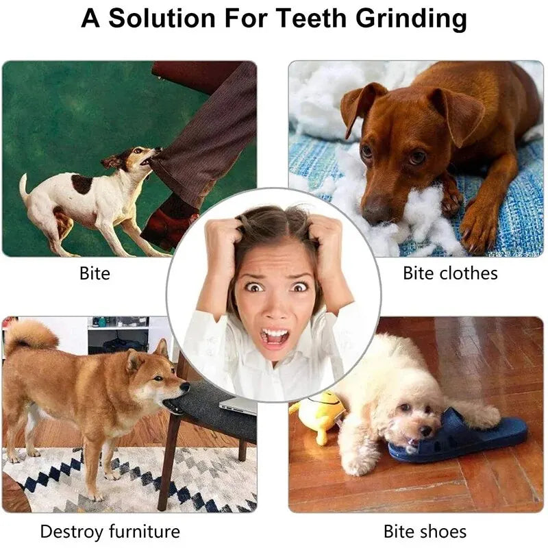 Treat-Dispensing Dental Ball