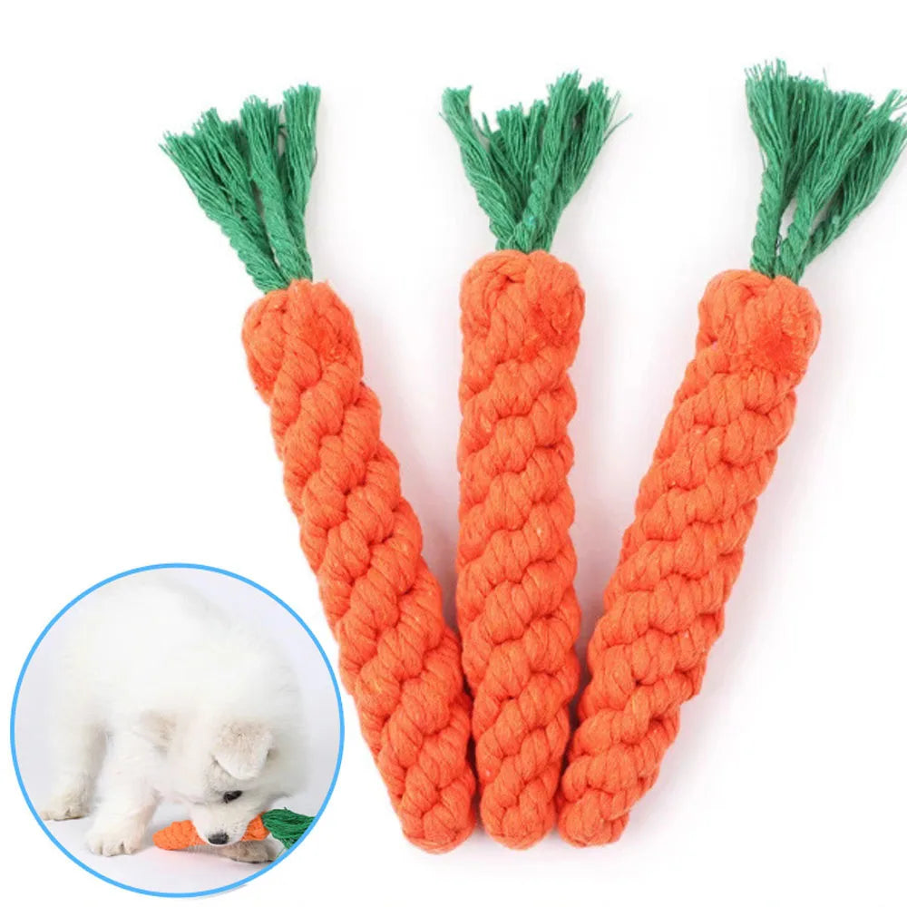 Carrot Rope Tug & Chew Toy