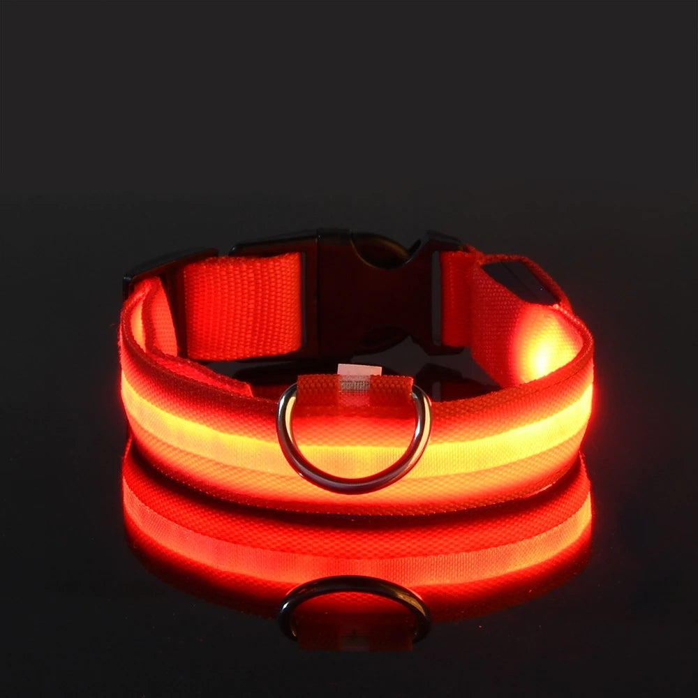 LED Night-Safety Dog Leash