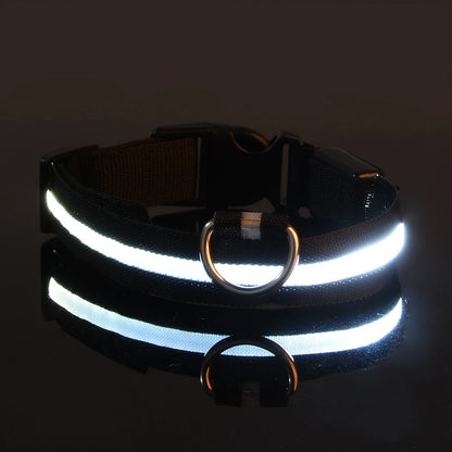 LED Night-Safety Dog Leash