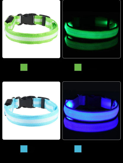LED Night-Safety Dog Leash