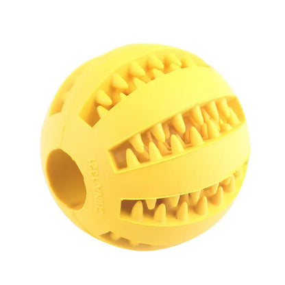 Treat-Dispensing Dental Ball