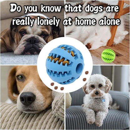 Interactive Treat & Dental Ball