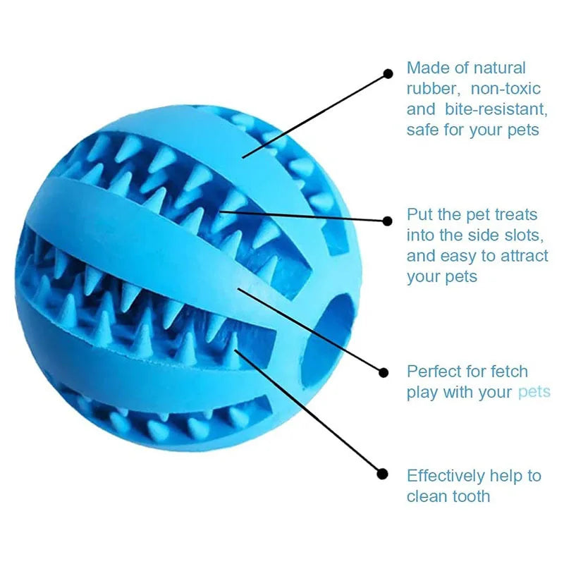 Interactive Treat & Dental Ball