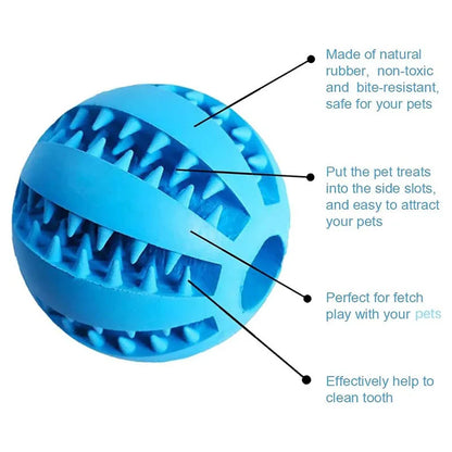 Interactive Treat & Dental Ball