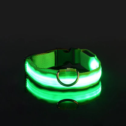 LED Night-Safety Dog Leash