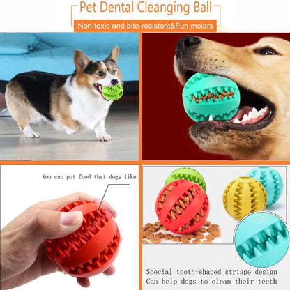 Interactive Treat & Dental Ball