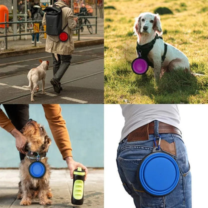 2-in-1 Collapsible Travel Bowl