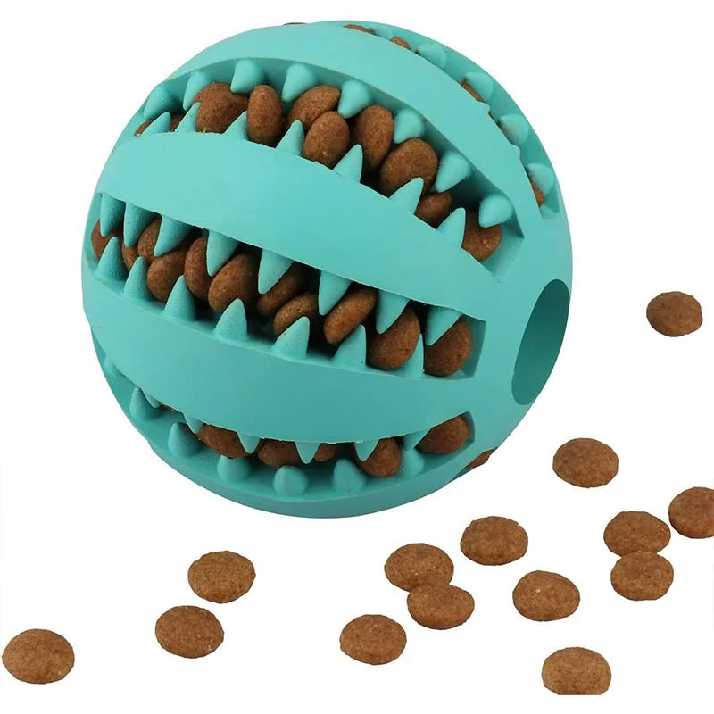 Interactive Treat & Dental Ball
