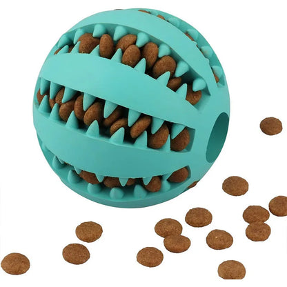 Interactive Treat & Dental Ball
