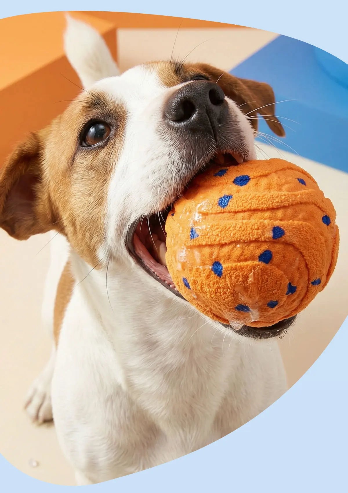 BouncePro Tough Interactive Ball