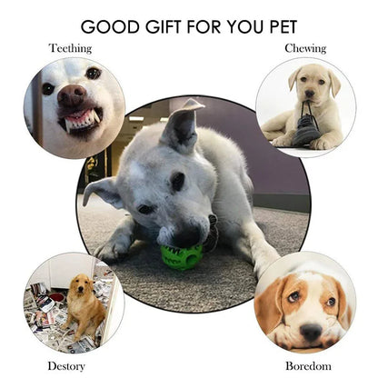 Interactive Treat & Dental Ball