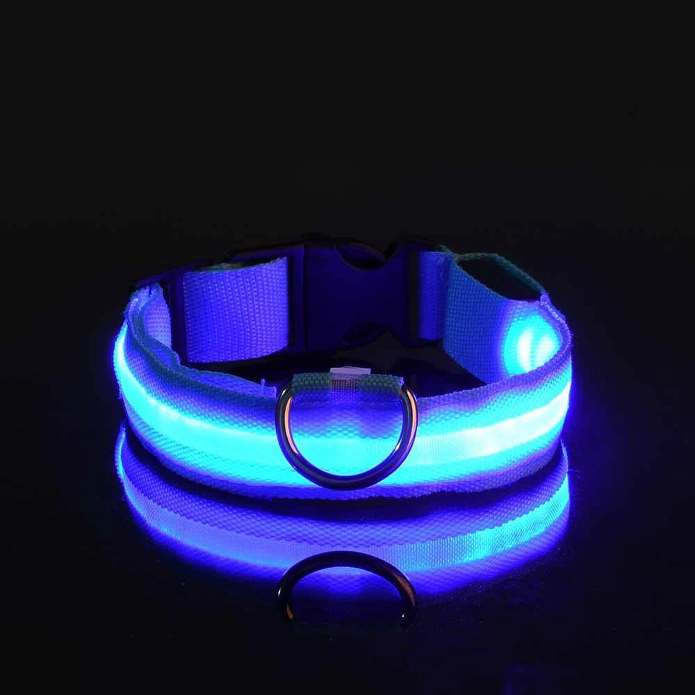 LED Night-Safety Dog Leash