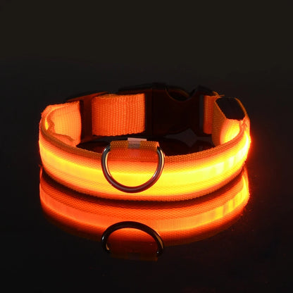 LED Night-Safety Dog Leash