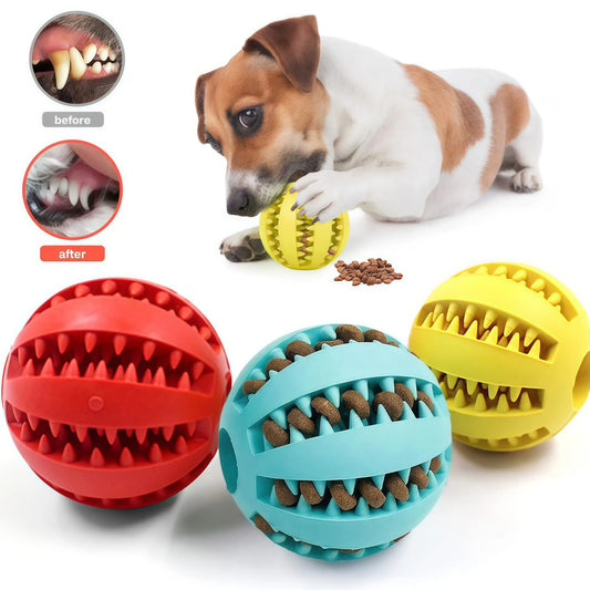 Interactive Treat & Dental Ball