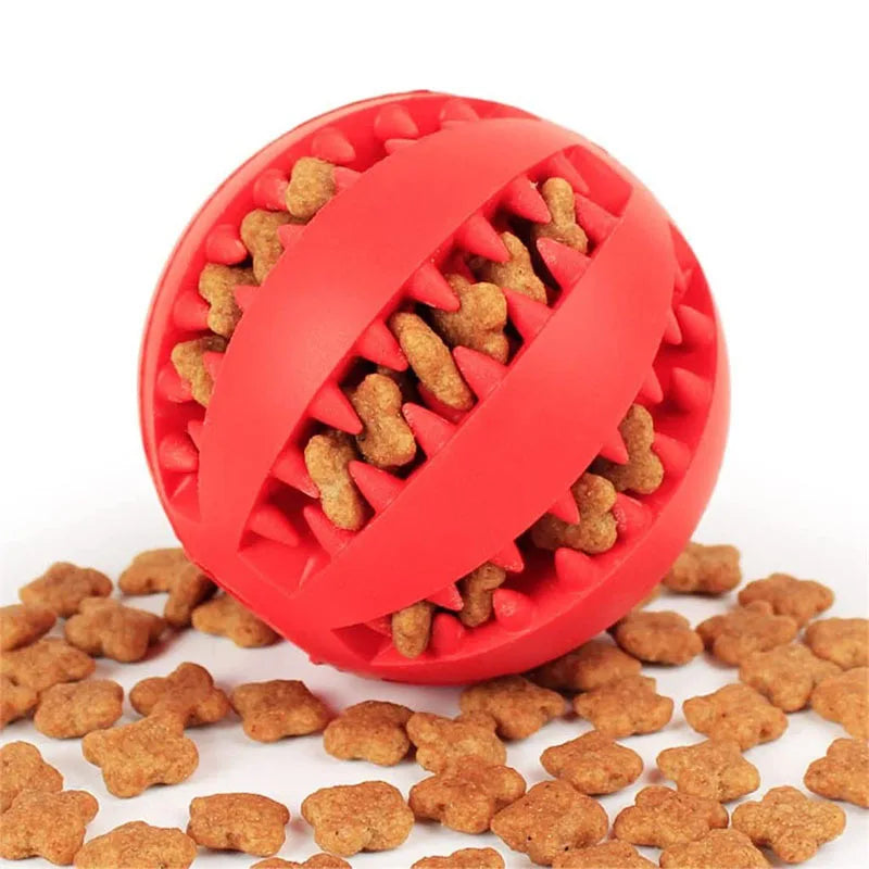 Interactive Treat & Dental Ball