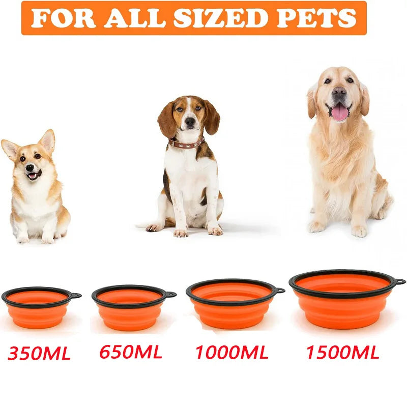 2-in-1 Collapsible Travel Bowl
