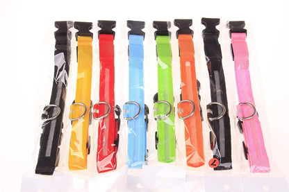 LED Night-Safety Dog Leash