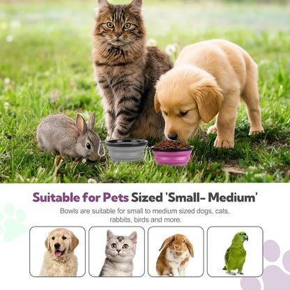 2-in-1 Collapsible Travel Bowl