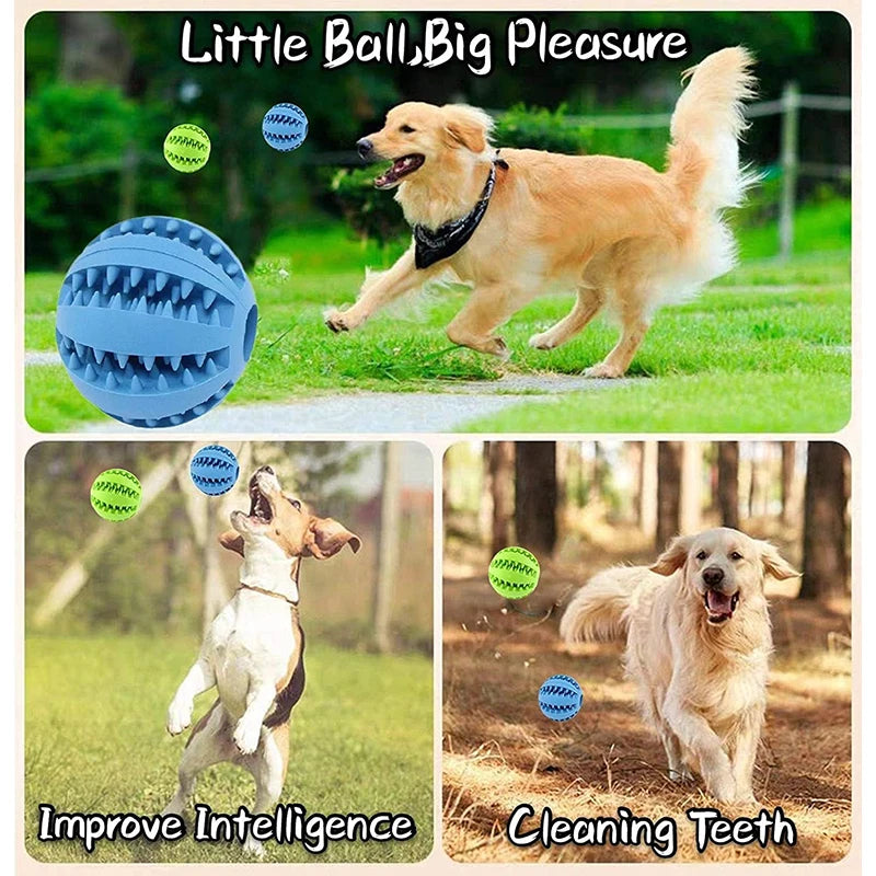 Interactive Treat & Dental Ball