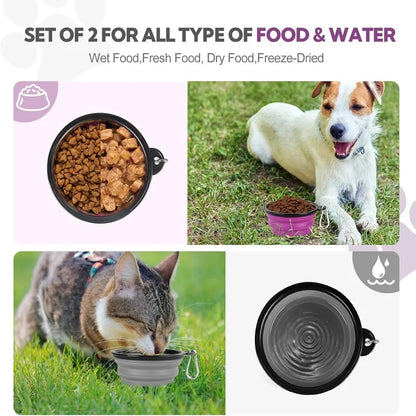 2-in-1 Collapsible Travel Bowl