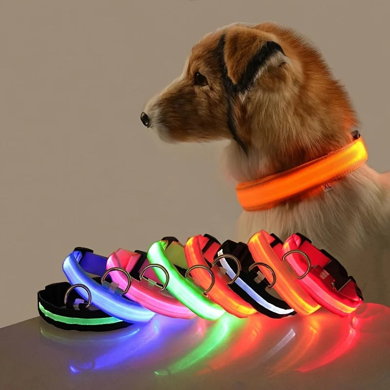 LED Night-Safety Dog Leash