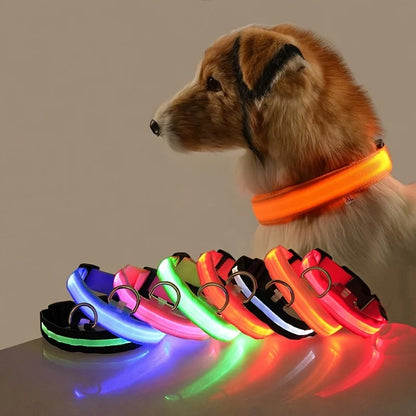 LED Night-Safety Dog Leash