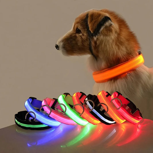 LED Night-Safety Dog Leash