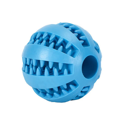 Interactive Treat & Dental Ball