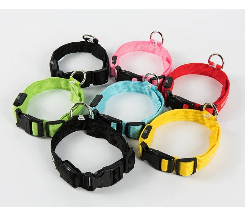 LED Night-Safety Dog Leash