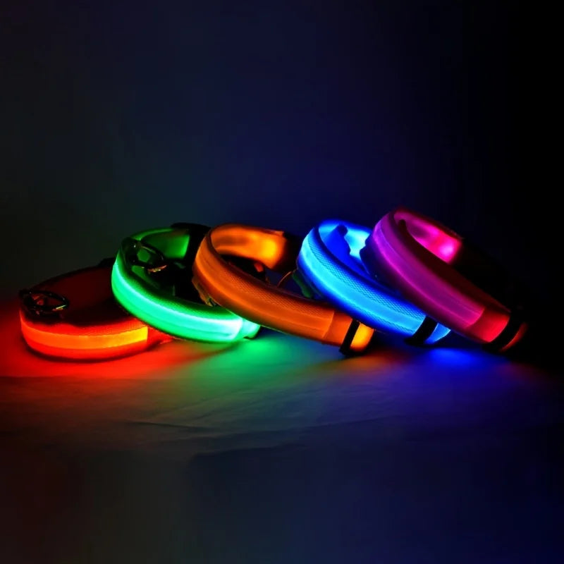 LED Night-Safety Dog Leash