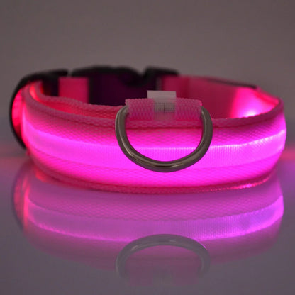 LED Night-Safety Dog Leash