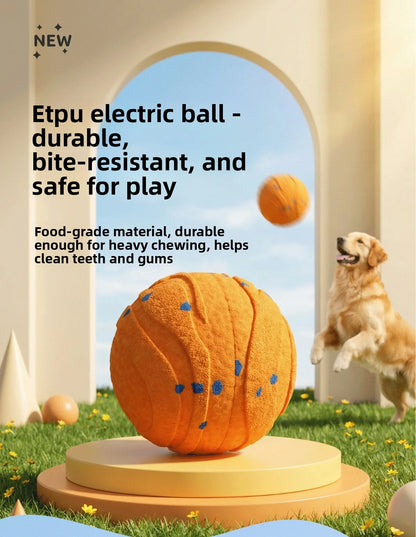 BouncePro Tough Interactive Ball