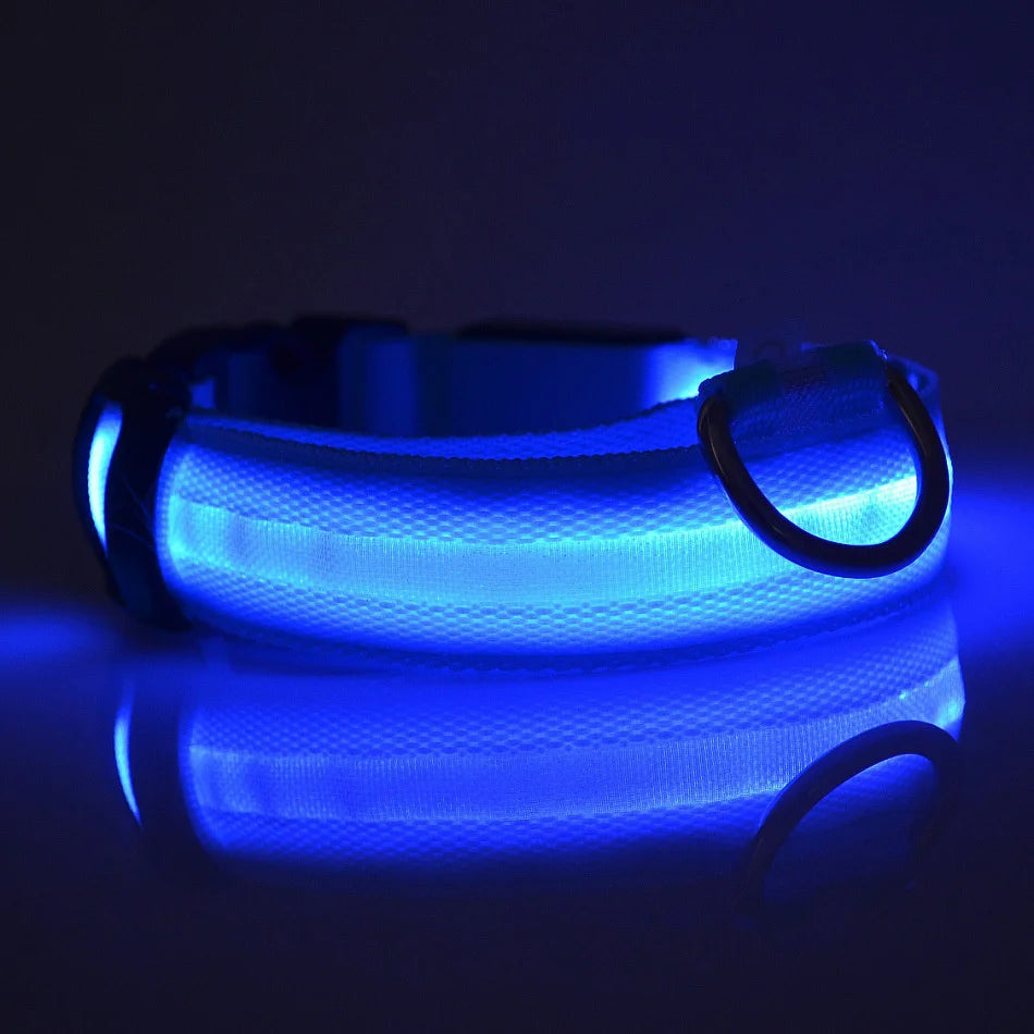 LED Night-Safety Dog Leash