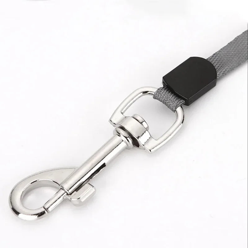 Everyday Retractable Pet Leash