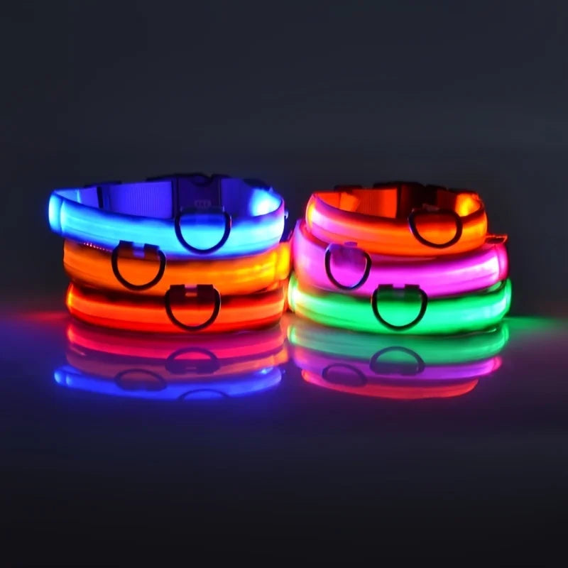 LED Night-Safety Dog Leash