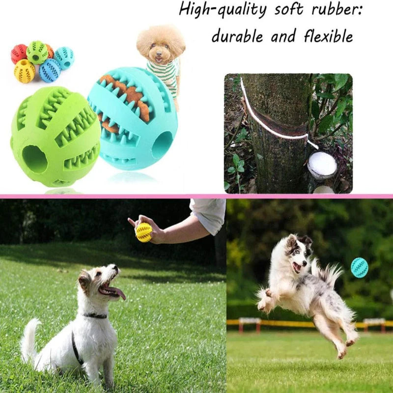 Interactive Treat & Dental Ball