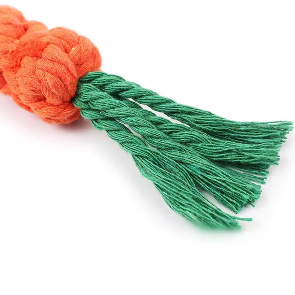 Carrot Rope Tug & Chew Toy