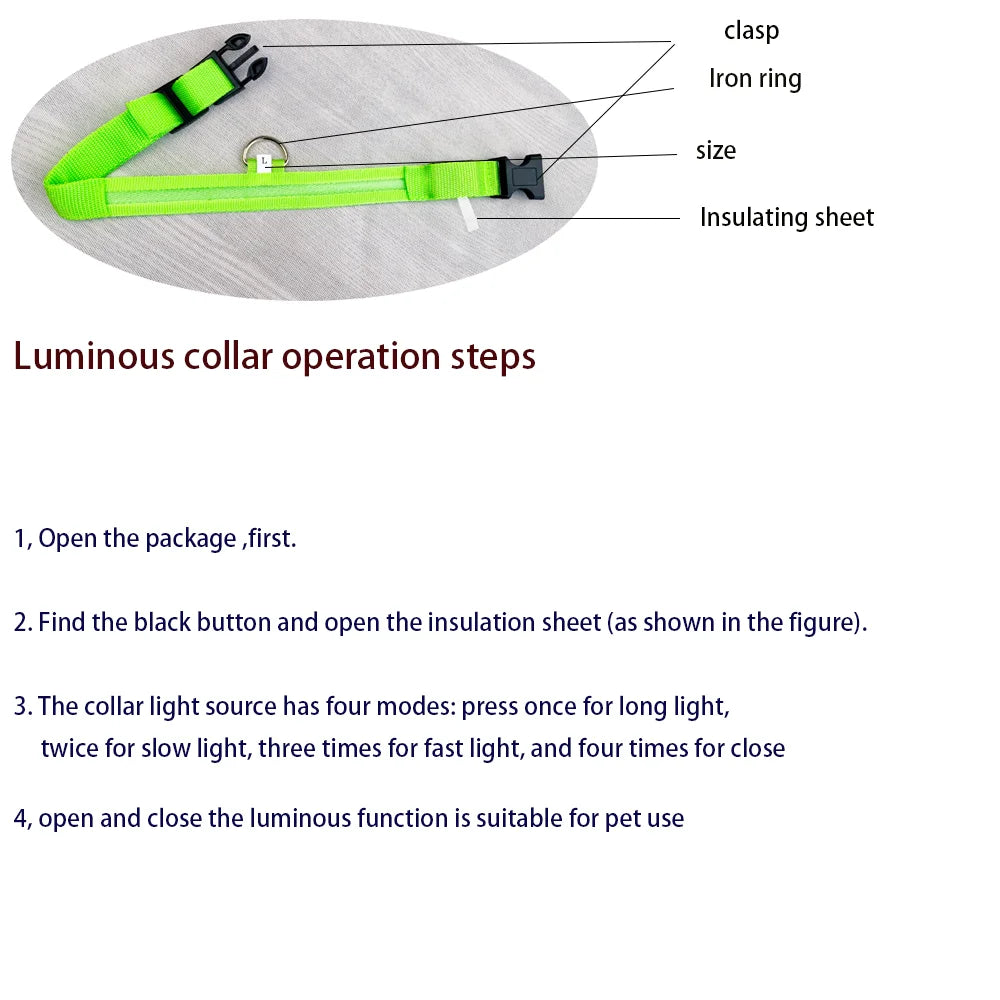 LED Night-Safety Dog Leash