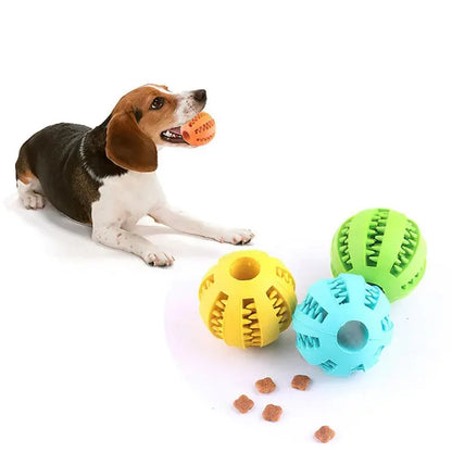 Treat-Dispensing Dental Ball