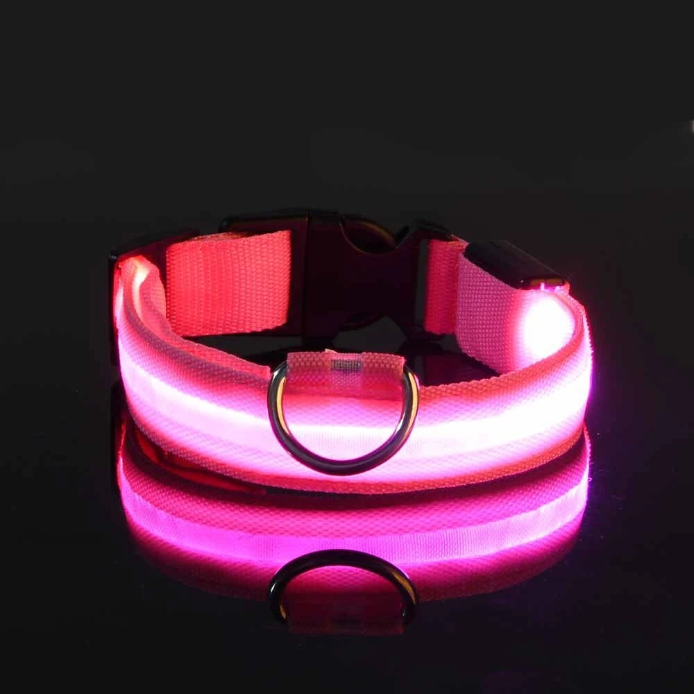 LED Night-Safety Dog Leash