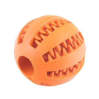 Treat-Dispensing Dental Ball