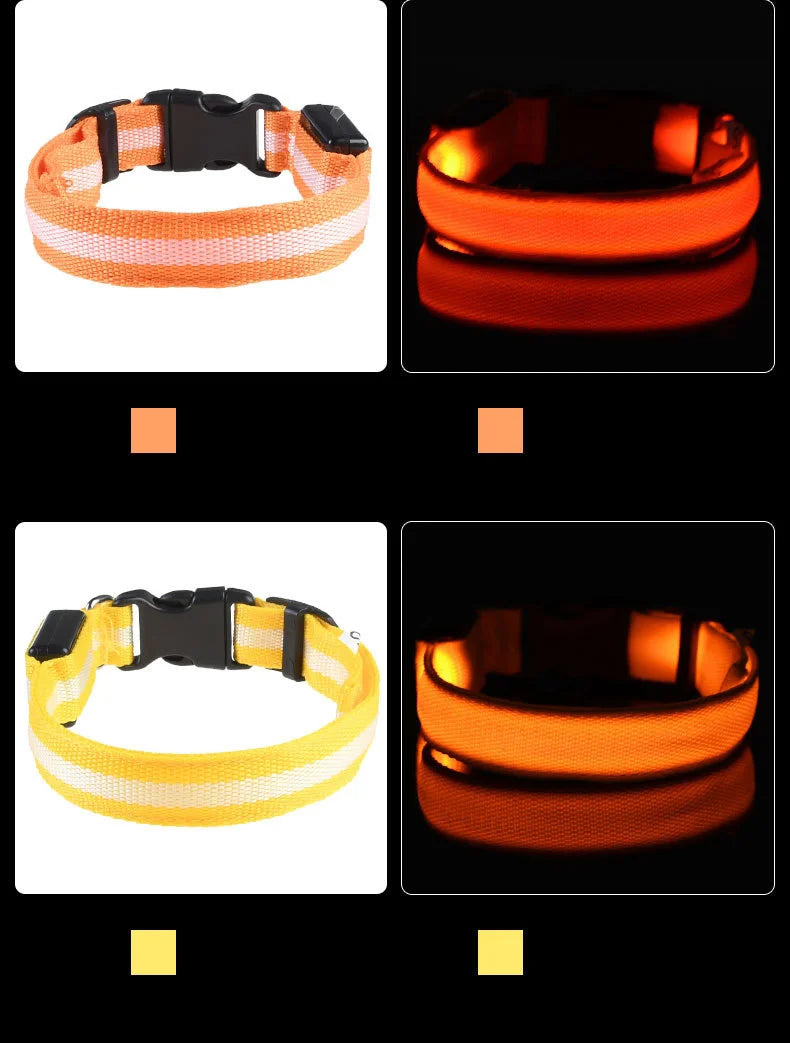 LED Night-Safety Dog Leash
