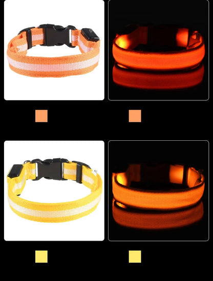 LED Night-Safety Dog Leash