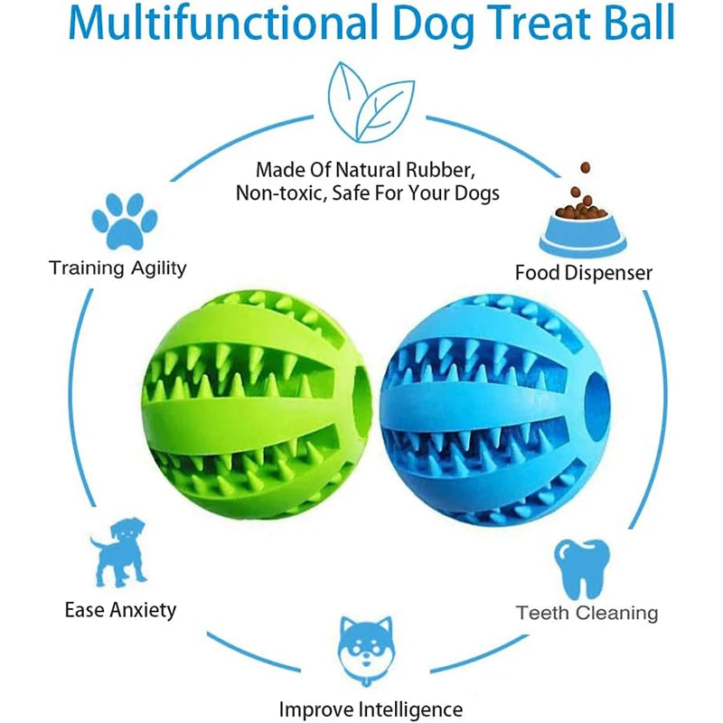 Interactive Treat & Dental Ball