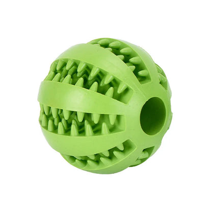 Interactive Treat & Dental Ball